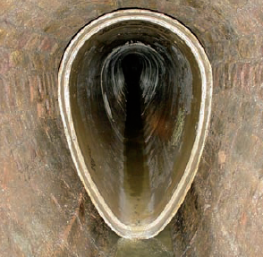 Figure. Refer to the image caption for details.