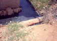 Graphic. Refer to the image caption for details.