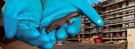 Figure. Refer to the image caption for details.
