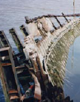 Graphic. Refer to the image caption for details.