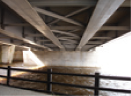 Figure. Refer to the image caption for details.