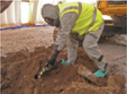 Figure. Refer to the image caption for details.