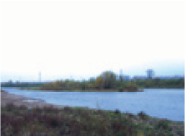 Figure. Refer to the image caption for details.