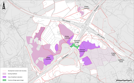 Figure 3. Refer to the image caption for details.