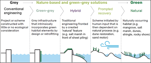 Figure 1. Refer to the image caption for details.