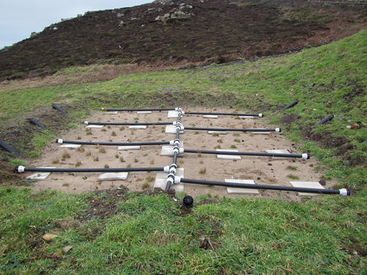 Figure 2. Refer to the image caption for details.