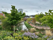 A landscaped park surrounds a stream flowing past trees, flowering plants, a pedestrian walkway, and nearby buildings under an overcast sky.
