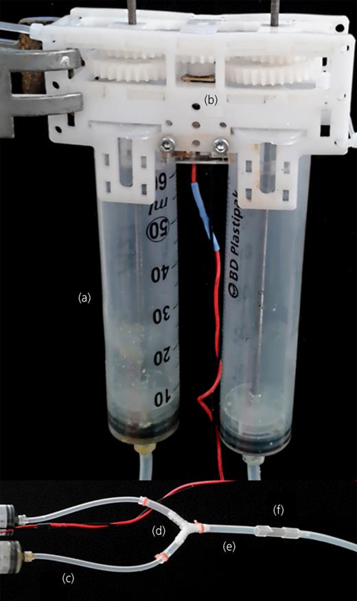 Figure 3. Refer to the image caption for details.