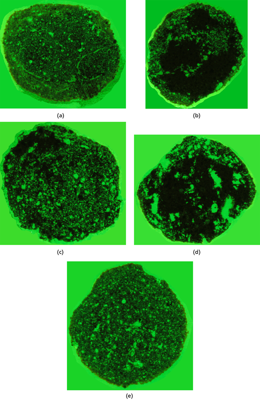 Five circular images showing an object in various states, each surrounded by green backgrounds, labeled from (a) to (e).