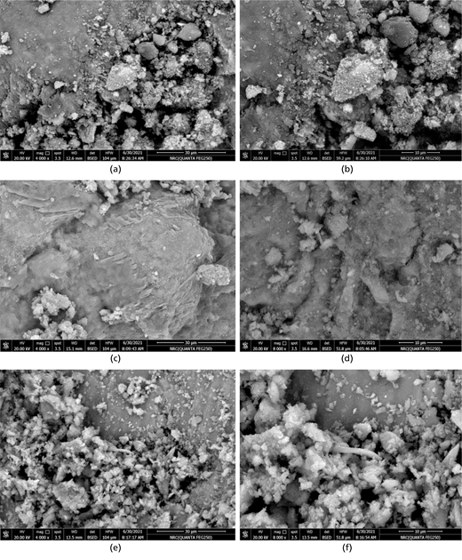 Six scanning electron microscopy images, labelled a to f, show various surfaces with particle distributions, sizes, and structures at different magnifications and dated electronically.