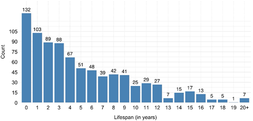 A vertical bar graph shows blog lifespan distribution from 0 to 20 plus years.