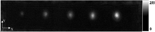 Figure 4. Refer to the image caption for details.
