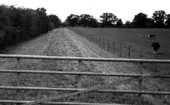 Figure 1. Refer to the image caption for details.