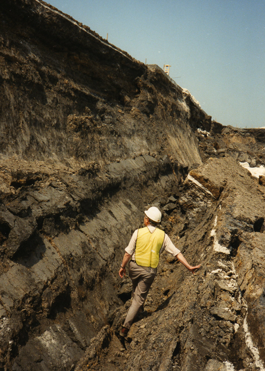 Figure 1 Refer to the image caption for details.