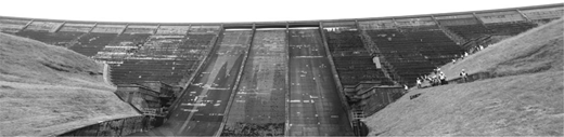 Figure 1 Refer to the image caption for details.