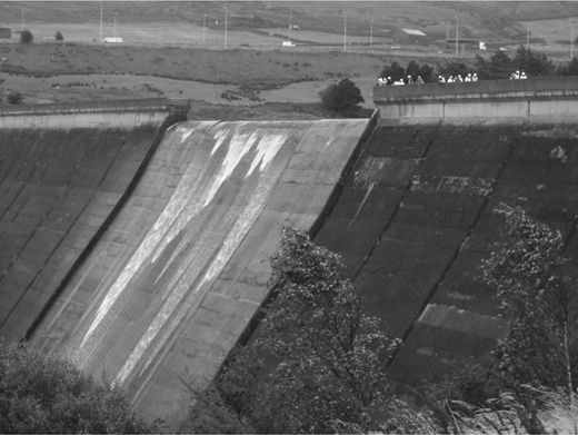 Figure 2 Refer to the image caption for details.