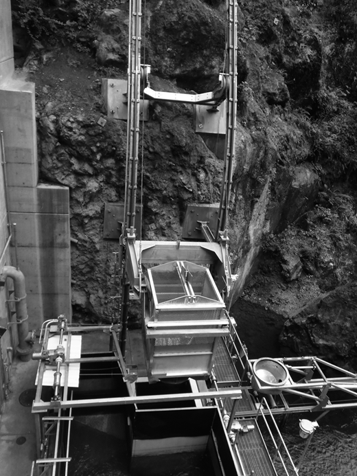 Figure 5 Refer to the image caption for details.