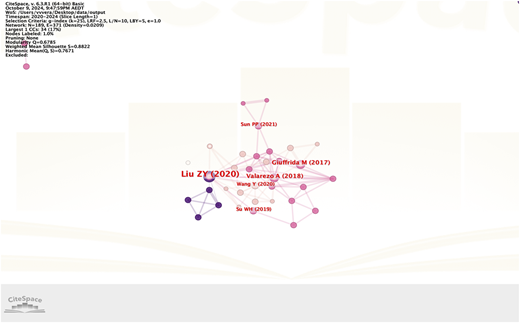 A screenshot of a bibliometric visualization map generated by the CiteSpace software.