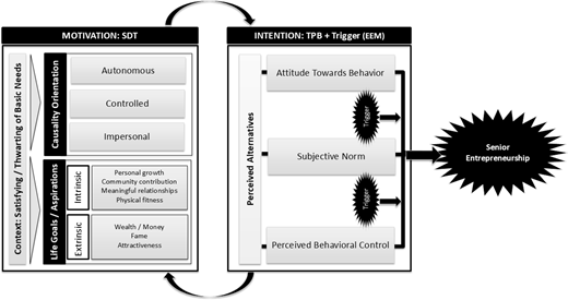 A conceptual framework diagram linking motivations and intentions to senior entrepreneurship.