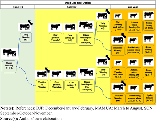 Figure 1 Refer to the image caption for details.
