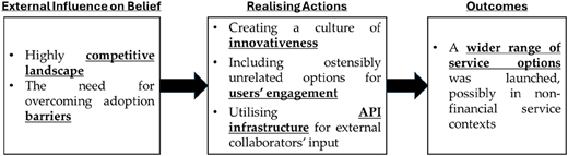 A flow diagram showing external influence on belief leading to realising actions and outcomes.