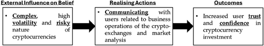 A flow diagram showing external influence on belief leading to realising actions and outcomes.