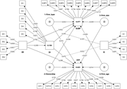 A diagram of the measurement model of partial least squares structural equation modeling.