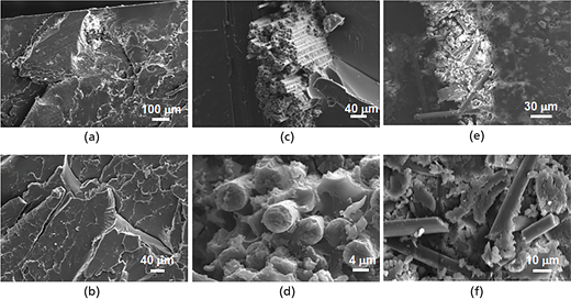 Figure 12. Refer to the image caption for details.
