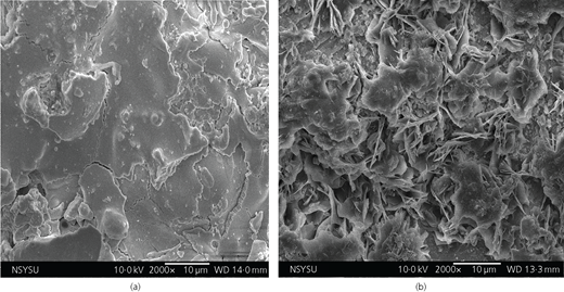 Figure 1 Refer to the image caption for details.