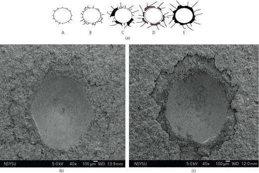 Figure 3 Refer to the image caption for details.