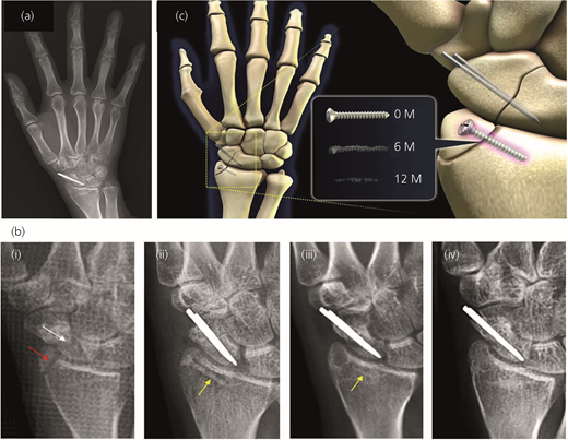 Figure 10 Refer to the image caption for details.