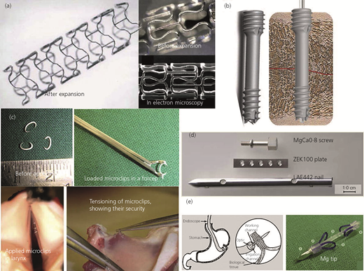 Figure 3 Refer to the image caption for details.