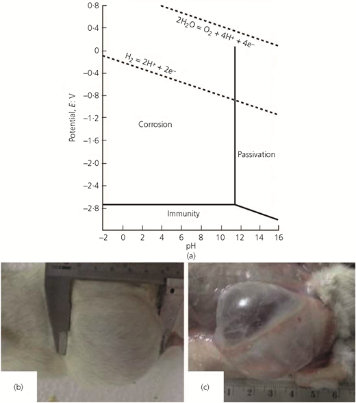 Figure 5 Refer to the image caption for details.