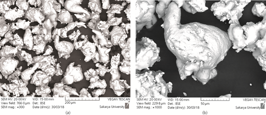 Figure 1 Refer to the image caption for details.