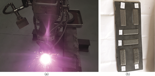 Figure 2 Refer to the image caption for details.