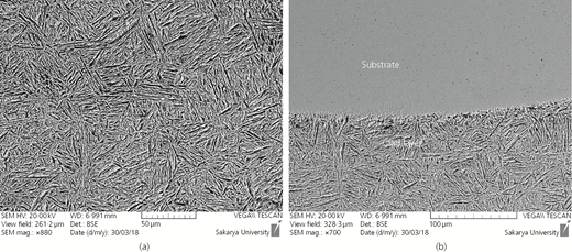 Figure 3 Refer to the image caption for details.