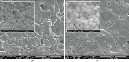 Figure 2 Refer to the image caption for details.