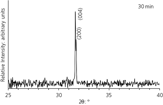 Figure 2 Refer to the image caption for details.