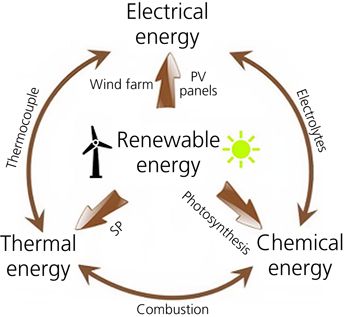 Figure 2. Refer to the image caption for details.
