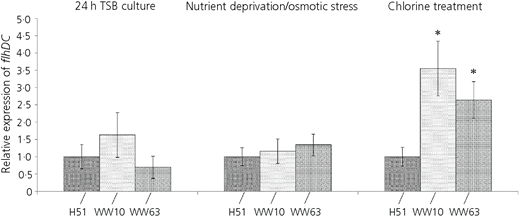 Figure 2 Refer to the image caption for details.