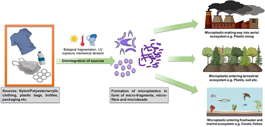 Figure 1. Refer to the image caption for details.