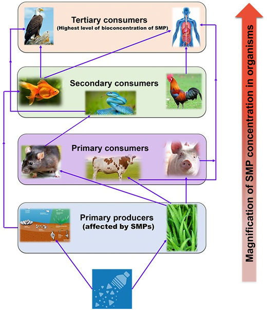 Figure 2. Refer to the image caption for details.