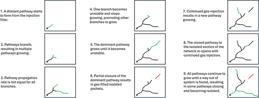 A flow diagram shows 9 stages of gas pathway growth from an injection filter.