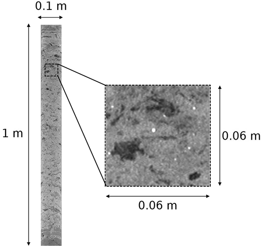 A vertical bar measuring one metre by ten centimetres, with a magnified section that is six centimetres square, showing detailed surface texture.