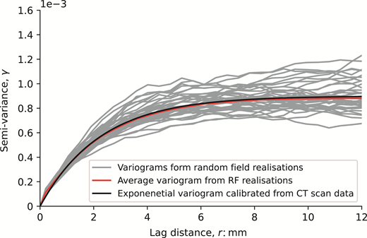 A graph depicting semi-variance versus lag distance, showing variograms, an average variogram, and an exponential variogram calibrated from C T scan data.