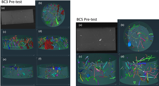 Two panels show B C 3 and B C 5 pre-test particle distributions, and imaging results.