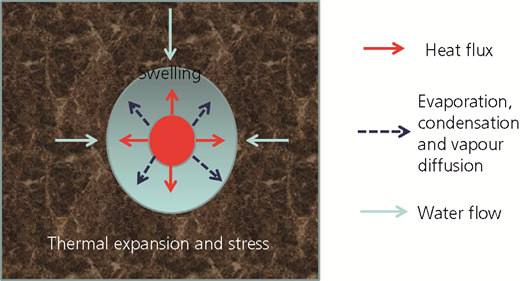 Figure 3 Refer to the image caption for details.