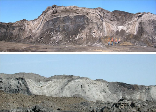 Figure 5 Refer to the image caption for details.