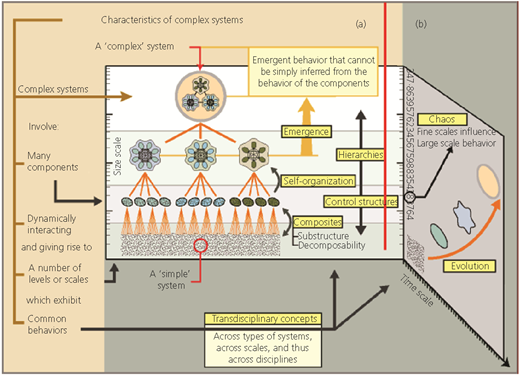 Figure 1 Refer to the image caption for details.
