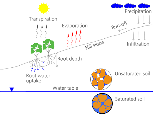 Figure 1 Refer to the image caption for details.